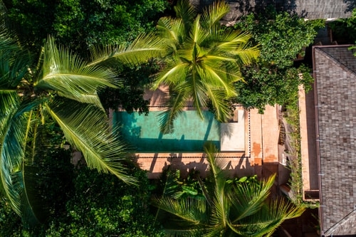 Private 5BR Ubud Wellness Sanctuary in Rice Fields