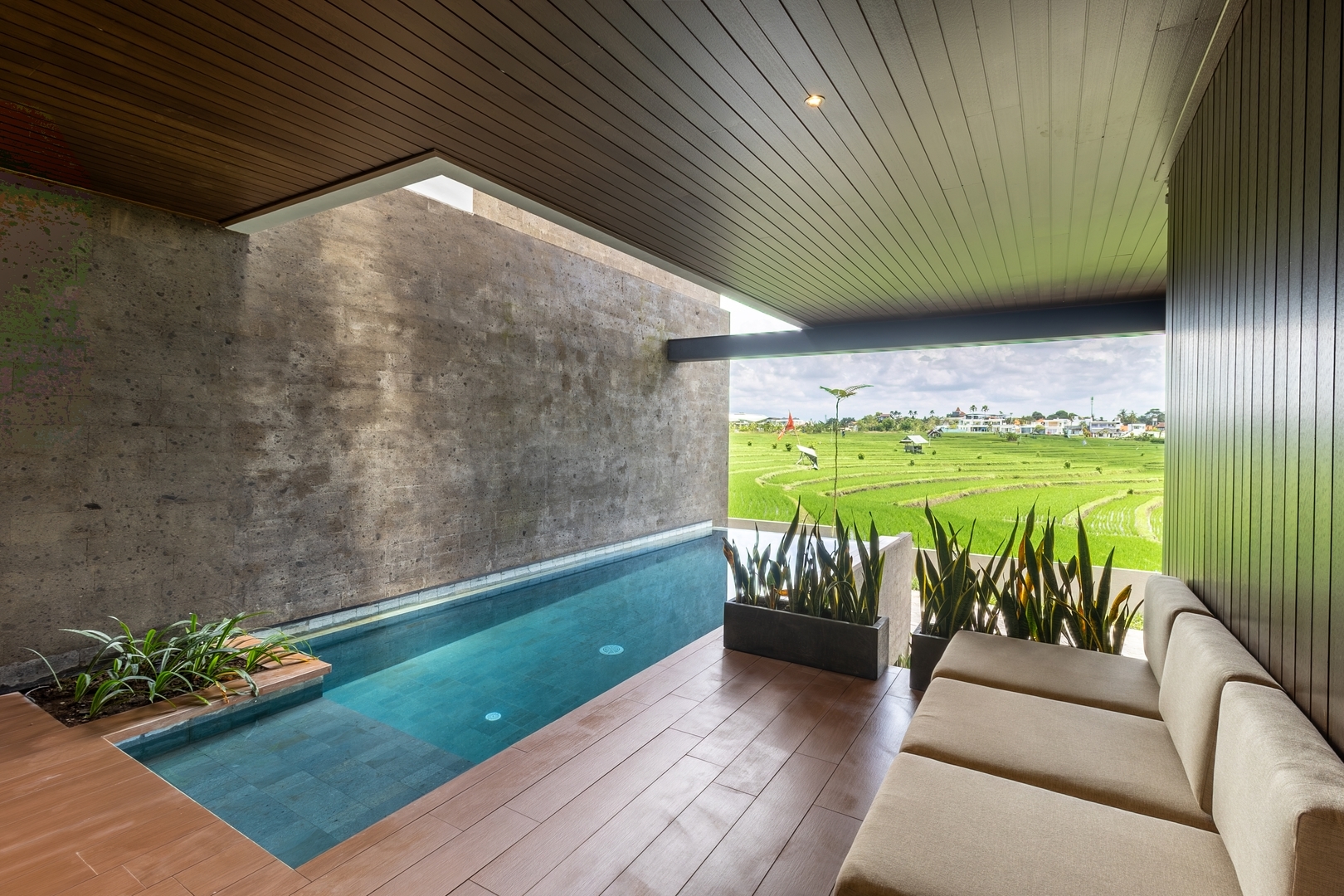 Elite 3BR Canggu | Tranquil Pool & Paddy View