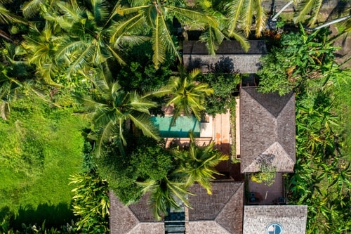 Private 5BR Ubud Wellness Sanctuary in Rice Fields