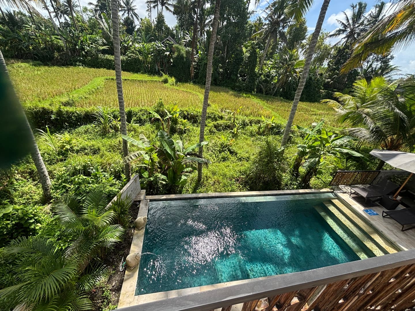 Modern 1BR Ubud Junior Suite | Balcony Paddy Views