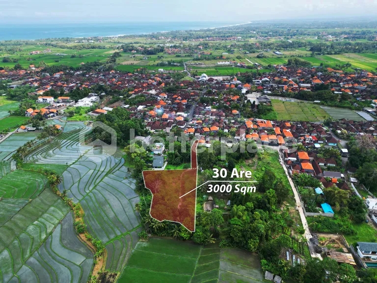 Exclusive Freehold Land in Tanah Lot: Ideal for Luxury Villa Development