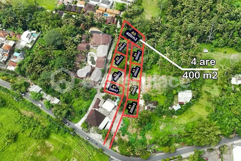 Exceptional Freehold 400 sqm Land in Ubud – Kangetan – Perfectly Positioned for Luxury Development and Investment