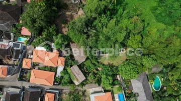 Prime 20-Are Land in Padonan, Canggu – Ideal for Investment