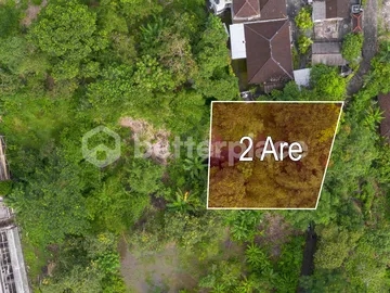 Compact Land Opportunity for Smart Property Investment in Ungasan