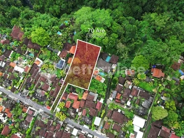 Envision Paradise: Secluded Freehold 70 Are Land in Ubud
