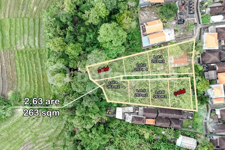 Your Dream Property Starts Here – 263 Sqm Leasehold Land in Prestigious Canggu