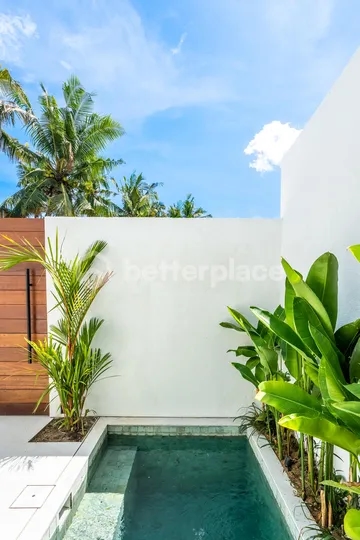 Stunning Two Bedroom Brand New Villa in Berawa