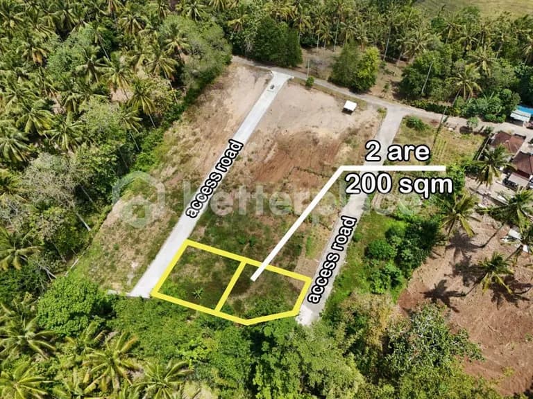 Freehold Jungle Sanctuary in Balian – 200 sqm Land Just Minutes from the Beach, Perfect for Your Dream Villa or Investment