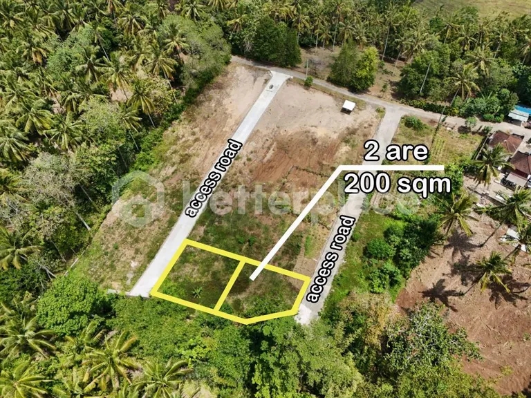 Freehold Jungle Sanctuary in Balian – 200 sqm Land Just Minutes from the Beach, Perfect for Your Dream Villa or Investment