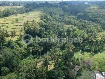 Prime Leasehold Land for Sale in Goa Gajah, Ubud – Includes Villa Project Design