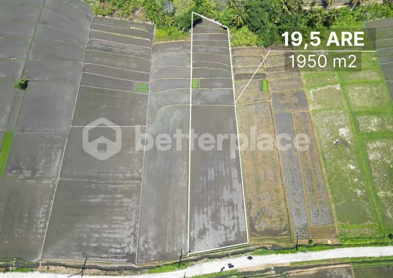 Unveil Tranquility: Expansive Land in Kedungu, Bali – Your Oasis of Possibilities!