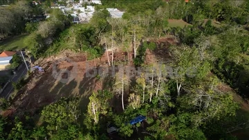 Prime Leasehold Land in Bukit – Bingin: Perfect Opportunity for Development in Bali’s Trending Area!