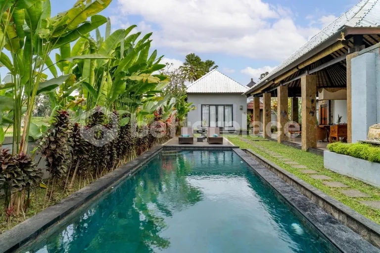 Escape to Elevated Living – Majestic Ubud 5-Bed Villas Surrounded by Rice Terraces, Serenity, and Spiritual Energy