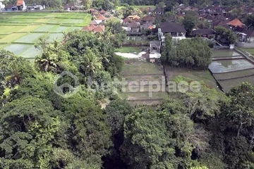 Affordable Bali Real Estate: Leasehold 2330 sqm Land in Prime Tabanan Location with High ROI Potential