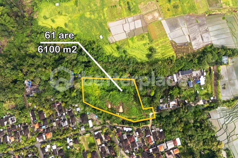 Unique Leasehold 6100 sqm Land in Kaba Kaba, Tabanan – Residential Plot with Great ROI Potential and Scenic Views