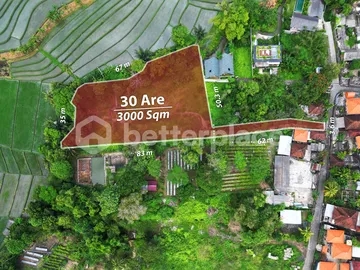 Exclusive Freehold Land in Tanah Lot: Ideal for Luxury Villa Development