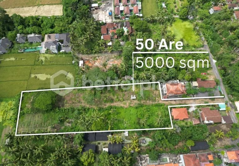 Exclusive Leasehold Land Offering in Ubud Perfect for Development