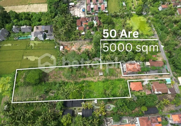 Exclusive Leasehold Land Offering in Ubud Perfect for Development
