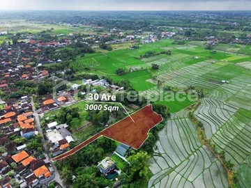 Exclusive Freehold Land in Tanah Lot: Ideal for Luxury Villa Development