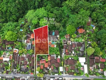 Unearth a Serendipitous Investment in Ubud’s 70 Are Leasehold Secreted Land