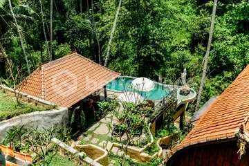 Freehold Jungle View Villa with Yoga Sala and Saltwater Infinity Pool in Ubud