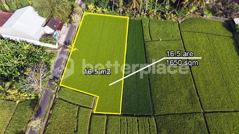 A Visionary Investment in Bali’s Emerging West – Expansive Leasehold 16.5 are Land Framed by Rice Fields, Sunrise Skies, and Mount Agung