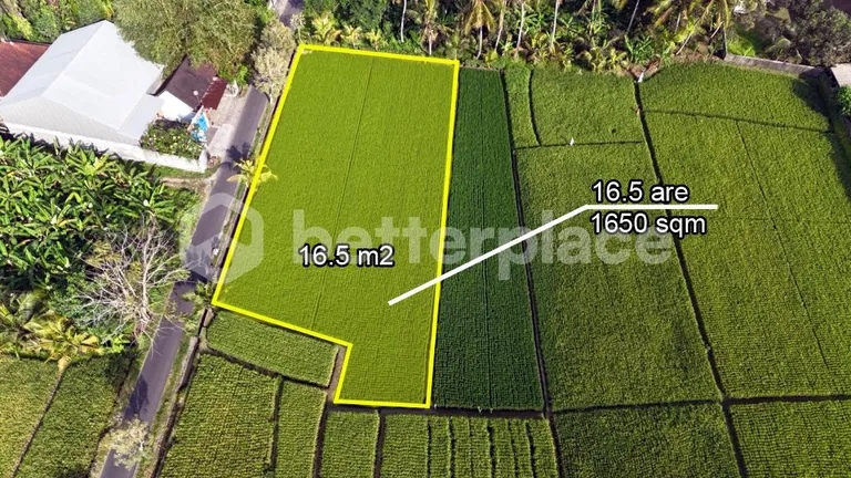 A Visionary Investment in Bali’s Emerging West – Expansive Leasehold 16.5 are Land Framed by Rice Fields, Sunrise Skies, and Mount Agung