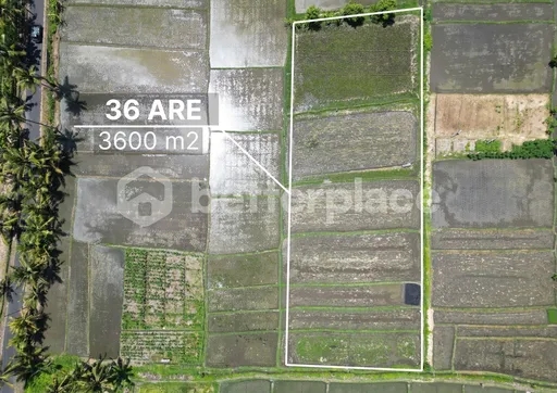 Seaside Dreams Unleashed: Exclusive Leasehold Land in Pangkung Tibah – Kedungu Awaits Your Vision