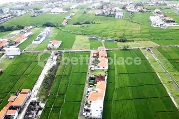 Rare Leasehold Opportunity: Stunning 387 sqm Plot in Canggu–Seseh, Perfect for Villa or Boutique Hotel Development