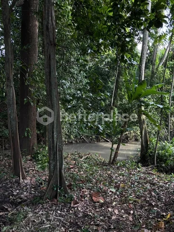 780 Sqm Land Riverside Land with Jungle Views in Tumbak Bayuh
