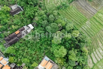 203 Sqm Leasehold Land in Tumbak Bayuh – Ideal for Luxury Villa Development