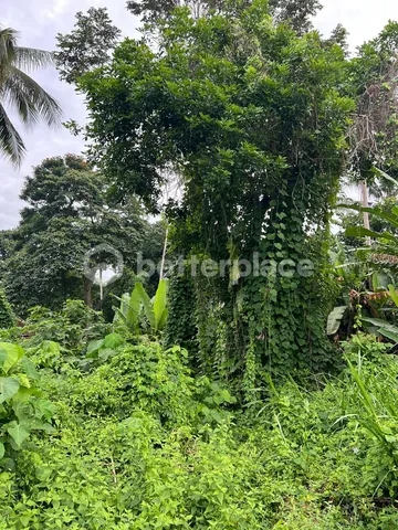 Investment Opportunity, 1,900 sqm Land in Ubud, Pejeng