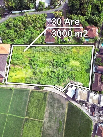 Ocean Panorama: Uninterrupted Views That Inspire