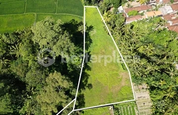Exclusive 2600 sqm Land with Mesmerizing Rice Field Views in Mas, Ubud