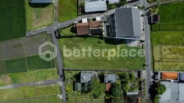 A Rare Coastal Investment in Kedungu: Prime Leasehold 5.3 are Land with Rice Field Views Just Moments from the Beach