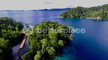 20 Hectares of Pristine Island Land – Tanjung Putus, Raja Ampat
