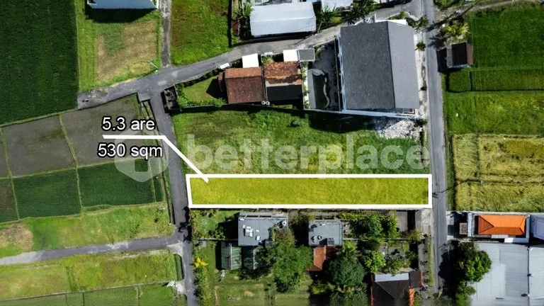 A Rare Coastal Investment in Kedungu: Prime Leasehold 5.3 are Land with Rice Field Views Just Moments from the Beach