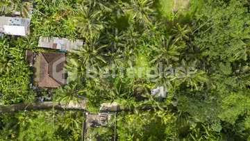 Freehold Land Surrounded by Nature in Sidan, Ubud