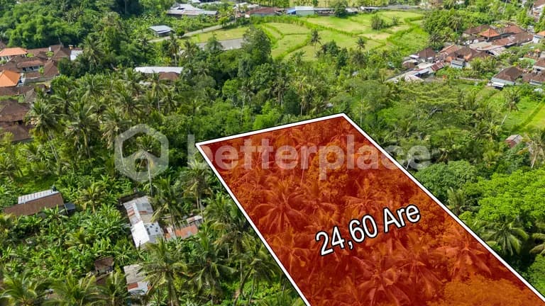 Freehold Land Surrounded by Nature in Sidan, Ubud