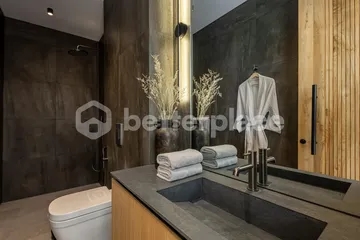 Modern 2 Bedroom Villa in Berawa, A Minimalist European Haven with Rooftop