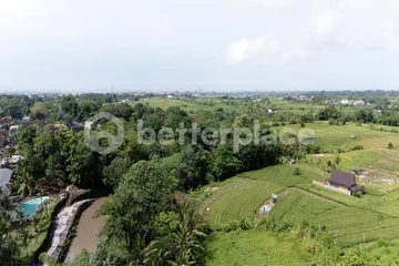 A Rare Investment Opportunity: Spacious Leasehold Residential 24.5 are Land in the Heart of Bali’s Green Oasis