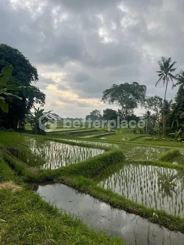 Prime Investment Opportunity, 912 Sqm Land in Munggu