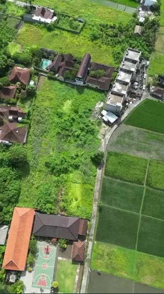 Ocean Panorama: Uninterrupted Views That Inspire