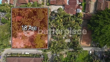 Prime Hospitality-Ready Land in the Heart of Sayan, Ubud