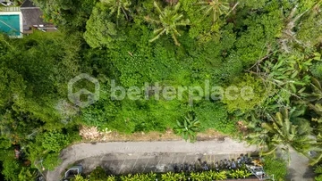 Prime Hospitality-Ready Land in the Heart of Sayan, Ubud