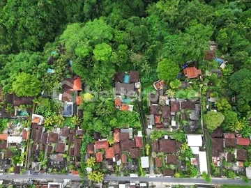 Envision Paradise: Secluded Freehold 70 Are Land in Ubud