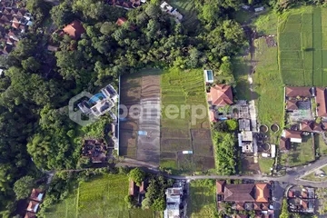 Exclusive Leasehold 4200 sqm Land in Buwit, Tabanan – Perfect for Luxury Villas or Boutique Development
