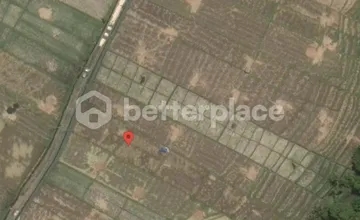 Unveil Tranquility: Expansive Land in Kedungu, Bali – Your Oasis of Possibilities!