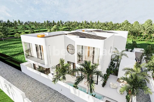 Rice Field Serenity Meets Contemporary Design in Coastal Bali