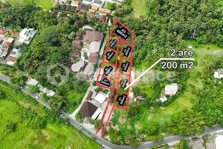 Prime Freehold 200 sqm Land for Sale in Ubud – Kangetan – Ideal Investment Opportunity